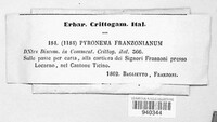 Pyronema franzonianum image